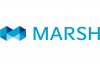 marsh